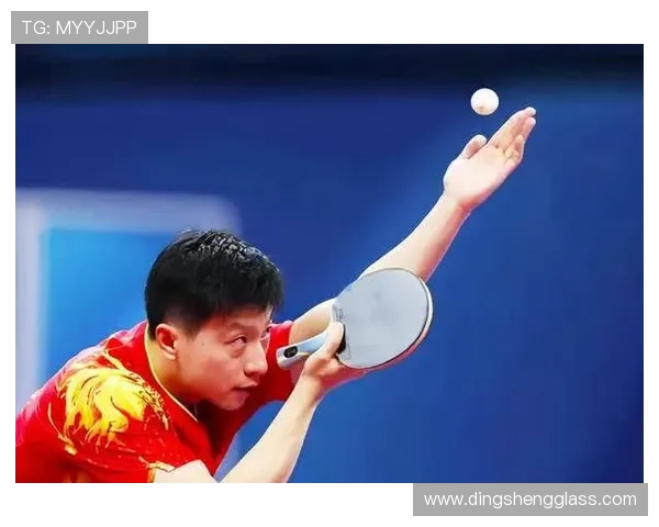 乒乓球基础教程：从入门到提高的全面技巧与训练方法解析