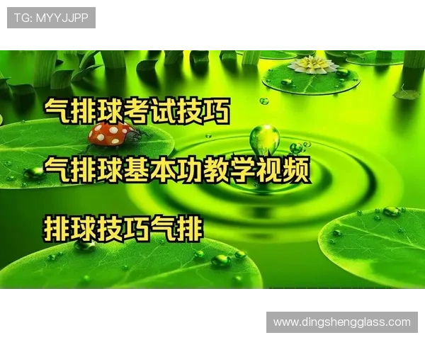 全面提升排球技术的系统化实战教学视频入门与进阶指南全程精解课